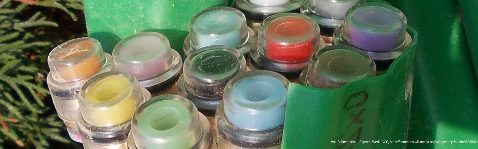 Viertletzter bei Glasfaser